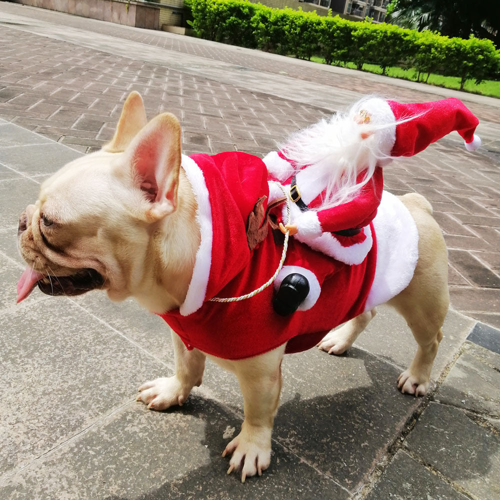 Santa Paws Costume