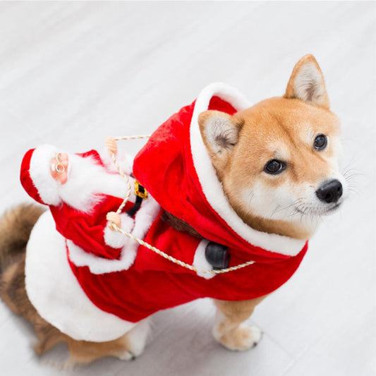 Santa Paws Costume