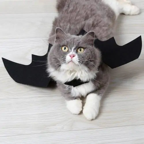 Cat Wings Costume