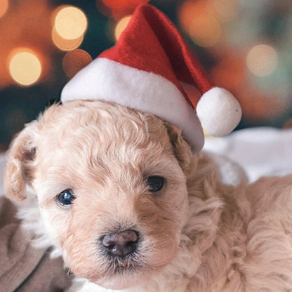 Christmas Santa Hat For Pets