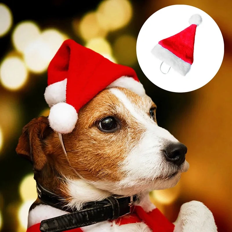 Christmas Santa Hat For Pets