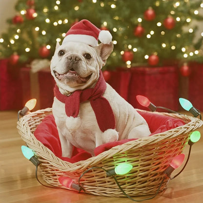 Christmas Santa Hat For Pets