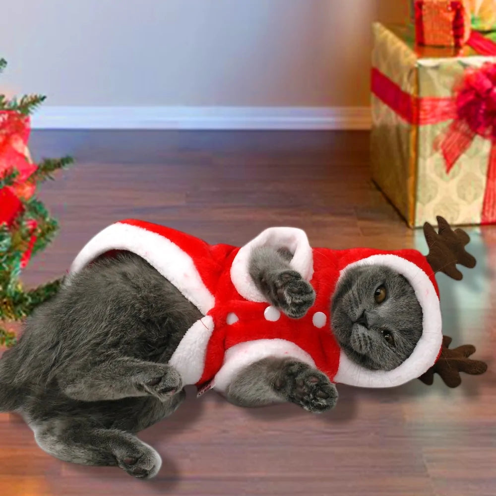 Christmas Cat Clothes Small Dogs Cats Santa Costume