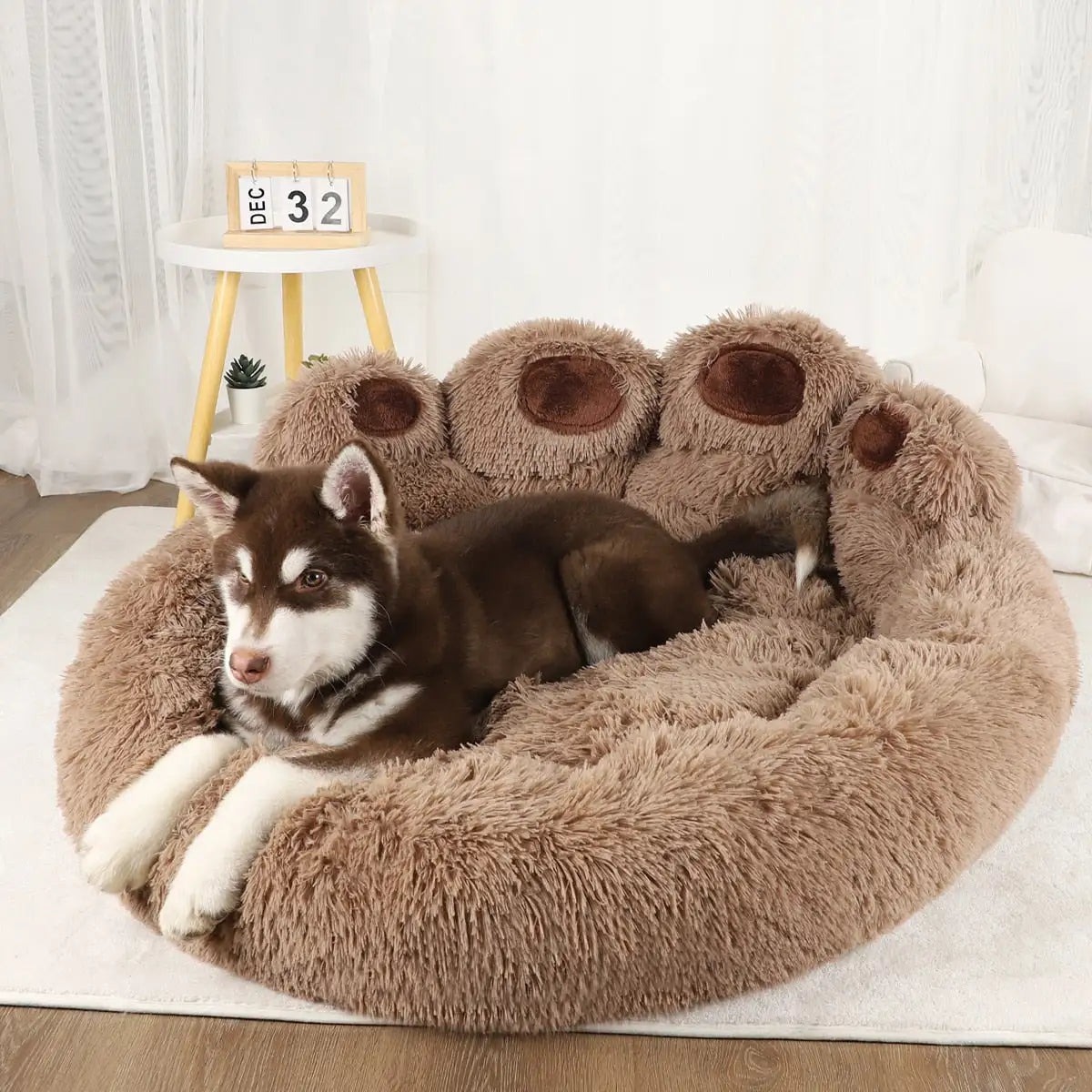 Paw Sofa Bed