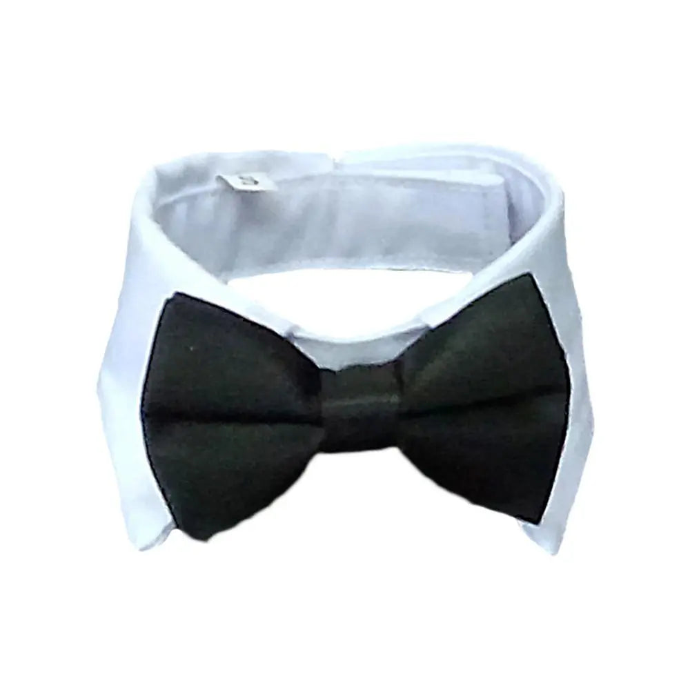 Adjustable Pet Ties and Bow Ties