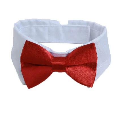 Adjustable Pet Ties and Bow Ties